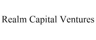 REALM CAPITAL VENTURES trademark