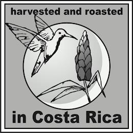 HARVESTED AND ROASTED IN COSTA RICA trademark