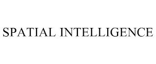 SPATIAL INTELLIGENCE trademark