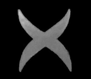 X trademark