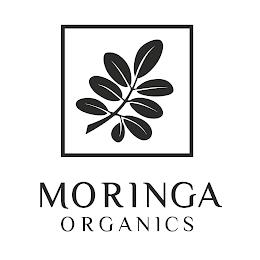 MORINGA ORGANICS trademark