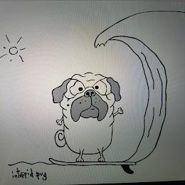 INTREPID PUG trademark