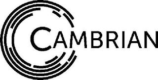 CAMBRIAN trademark