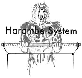 HARAMBE SYSTEM trademark