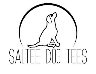 SALTEE DOG TEES trademark