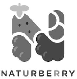 N NATURBERRY trademark