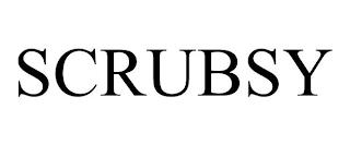 SCRUBSY trademark