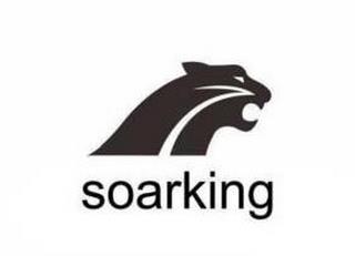 SOARKING trademark