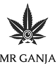 MR GANJA trademark