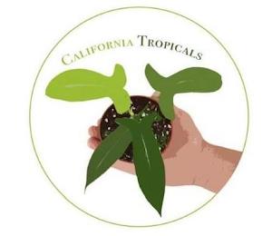 CALIFORNIA TROPICALS trademark