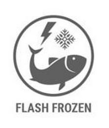 FLASH FROZEN trademark