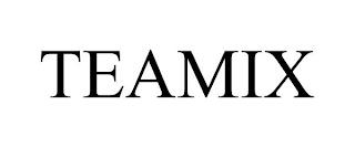 TEAMIX trademark