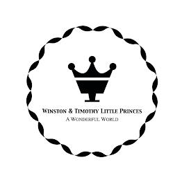 WT WINSTON & TIMOTHY LITTLE PRINCES A WONDERFUL WORLD trademark