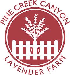 PINE CREEK CANYON LAVENDER FARM trademark