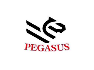 PEGASUS trademark