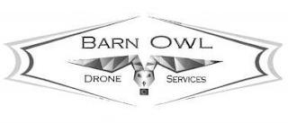 BARN OWL DRONE SERVICES trademark