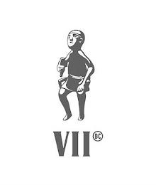 VII BC trademark