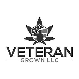 VETERAN GROWN LLC trademark