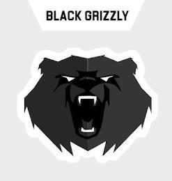 BLACK GRIZZLY trademark