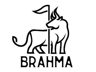 BRAHMA trademark