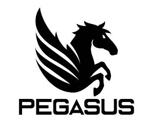 PEGASUS trademark