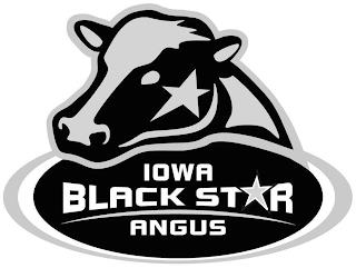 IOWA BLACK STAR ANGUS trademark