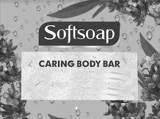 SOFTSOAP CARING BODY BAR trademark