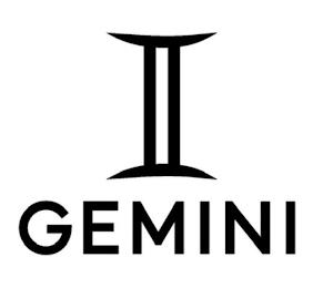 GEMINI trademark