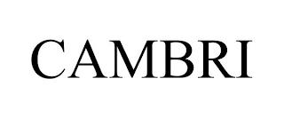 CAMBRI trademark