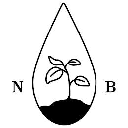 NB trademark