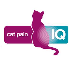 CAT PAIN IQ trademark