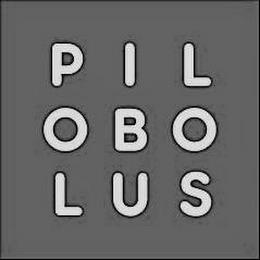 PILOBOLUS trademark