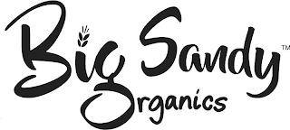 BIG SANDY ORGANICS trademark