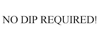 NO DIP REQUIRED! trademark