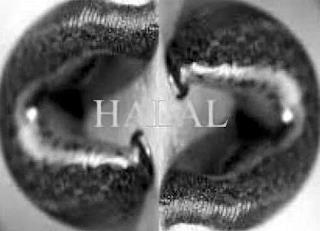 HALAL trademark