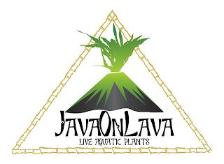 JAVAONLAVA LIVE AQUATIC PLANTS trademark