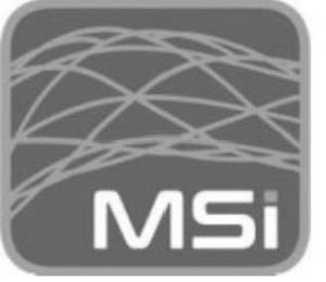 MSI trademark