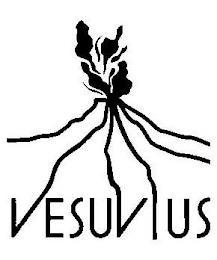 VESUVIUS trademark