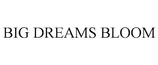 BIG DREAMS BLOOM trademark