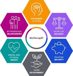 WELLBEINGXP, INTERPERSONAL RELATIONSHIPS, MENTAL AND PHYSICAL HEALTH, WORK ENVIRONMENT, FINANCIAL SECURITY, WORK-LIFE BALANCE, FULFILMENT AT WORK trademark