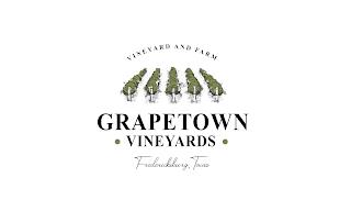 VINEYARD AND FARM GRAPETOWN VINEYARDS FREDERICKSBURG TEXAS trademark