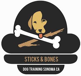 STICKS & BONES DOG TRAINING SONOMA CA trademark