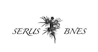 SERUS BNES trademark