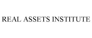 REAL ASSETS INSTITUTE trademark