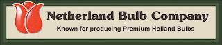 NETHERLAND BULB COMPANY KNOWN FOR PRODUCING PREMIUM HOLLAND BULBS trademark