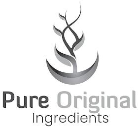 PURE ORIGINAL INGREDIENTS trademark