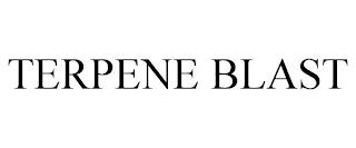 TERPENE BLAST trademark