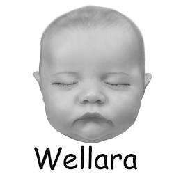 WELLARA trademark