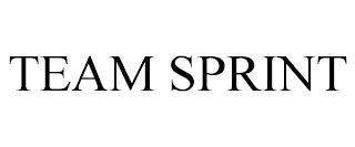 TEAM SPRINT trademark