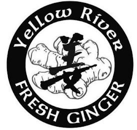 YELLOW RIVER FRESH GINGER trademark